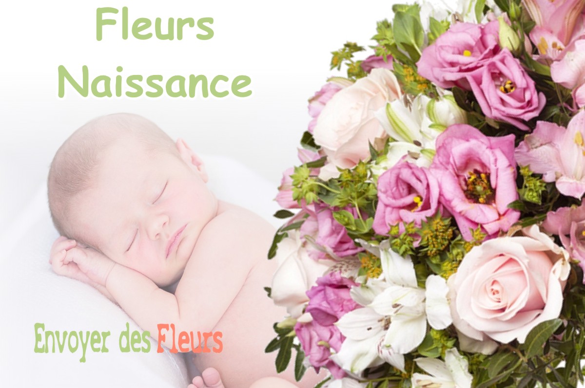 lIVRAISON FLEURS NAISSANCE à BANTHEVILLE